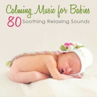 Frogs at Night - Childrens Songs