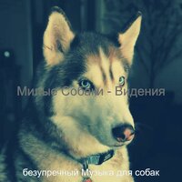 Музыка (Собаки Щенки) - безупречный Музыка для собак