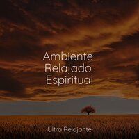 Llamadas De Serenidad - Relajante Academia de Música Zen & Música para Massagem Especialistas & Escola de Meditação