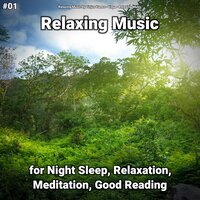 Relaxation Music Pt. 86 - Relaxing Music by Finjus Yanez & Yoga & Relaxing music