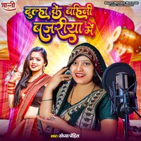 Dulha Ke Bahini Bajariya Me - Sandhya Pandit