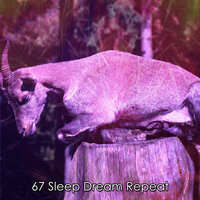 Успокаивающая жизнь - The Sleep Helpers
