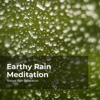 Raining in the Wilds - Rain Recorders & Rainfall & Nature Rain Relaxation