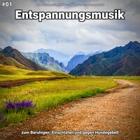 Ruhige Nachricht - Entspannungsmusik & Schlafmusik & Entspannungsmusik Elfi Niel