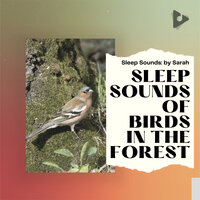 Summer Twitcher - Sleep Sounds: by Sarah & Sleep Sounds Of Nature