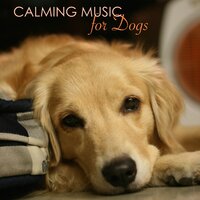 For Dog Ears Only - Pet Music World