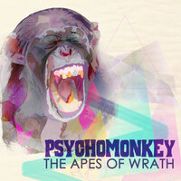 I Could've Been a Hippie If You'd Only Asked - Psychomonkey