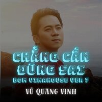 Chẳng Cần Đúng Sai - Vu Quang Vinh