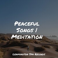 In the Clouds - Deep Sleep & Spa & Study Music Library