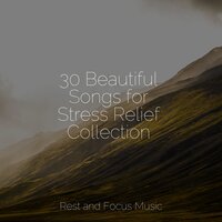 Sand and Sonatas - Sound Sleeping & Smart Baby Lullaby & Pet Care Music Therapy