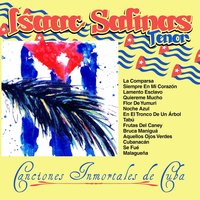 Aquellos Ojos Verdes - Isaac Salinas