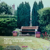 Sunshine Shimmer - The Whip - Papernut Cambridge