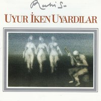 Atladım Girdim Bağa - Ruhi Su