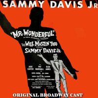 I've Been Too Busy - Sammy Davis, Jr.