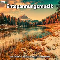 Entspannungsmusik pt. 28 - Entspannungsmusik sanft & Schlafmusik & Entspannungsmusik
