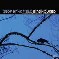 Solid Jackson - Geof Bradfield