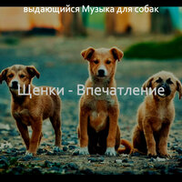Мечты (Спящие собаки) - выдающийся Музыка для собак