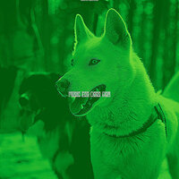 High-class Lonely Dogs - Music for Dogs Bgm