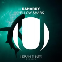 Yellow Shark - Bsharry