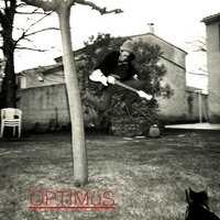 Hôtesse - Optimus