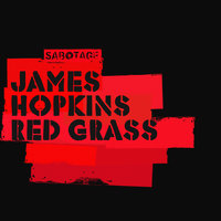 Red Grass - James Hopkins