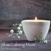 Beauty Sensation - Meditation Relax Club