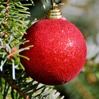 Hallelujah, It's Holiday Season! - Bossa Cafe en Ibiza, Piano Therapy Sessions, Study Group Collective & Bossa Cafe en Ibiza & Piano Therapy Sessions & Study Group Collective