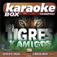 Quiero Volar Contigo - Karaoke Box