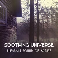 Inner Joy (Sailbout Journey) - Nature Music Sanctuary