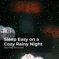 Resting on a Rainy Night - Deep Sleep Rain Sounds & Rain Sounds Collection & Rain Meditations
