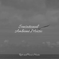 Boudica - Sounds of Nature White Noise for Mindfulness Meditation and Relaxation & Reiki Music & Sounds of Nature White Noise Sound Effects