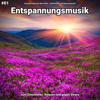 Bezaubernde Schönheit - Entspannungsmusik & Schlafmusik & Entspannungsmusik Nino Pallen