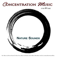 The Best Zen Music For Reading and Nature Sounds - Concentration Music for Work & Work Music & Work Playlist
