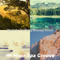 Harp and Koto Soundtrack for Body Cleansing - 1 Hour Spa Groove