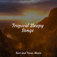 Soul Release - Shakuhachi Sakano & Bedtime Baby & Baby Sleep Music