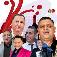 SORINEL DE LA PLOPENI Colaj Muzica de Petrecere 2024 super chef - SORINEL DE LA PLOPENI
