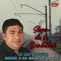 Copilasi mei sunt puterea mea - Stefan de la Barbulesti
