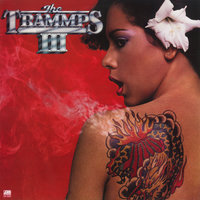 Seasons for the Girls - The Trammps