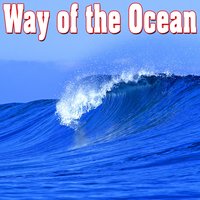 Relaxed Rolling Ocean Surf Meets the Shoreline - Nature Sounds