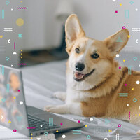 Warm Ambiance for Restless Puppies - Dog Calming Music