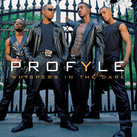 I Won't Cry - Profyle
