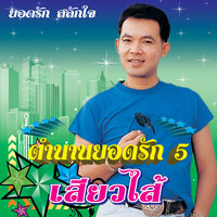ลูกทุ่งกลองยาว - ยอดรัก สลักใจ