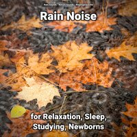 Rain Noise Pt. 29 - Nature Sounds & Rain Sounds & Regengeräusche