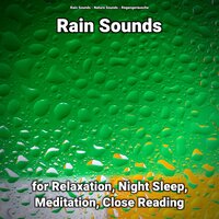 Rain Sounds for Relaxation and Night Sleep Pt. 78 - Nature Sounds & Rain Sounds & Regengeräusche