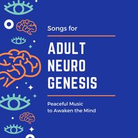 Ambient Energy - First Genesis