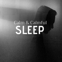 Beautiful Mind - Deep Sleep Hypnosis