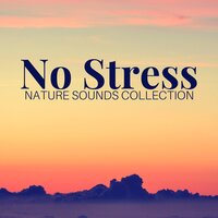 Inspirational Song - Japanese Garden