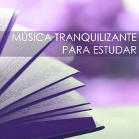 Vivendo um Sonho - Musicas para Estudar Collective