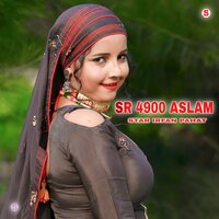 SR 4900 ASLAM - Star Irfan Pahat & Wasim Akram Alwar