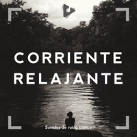 Ruido Ambeint Bosque Sonidos Blanca - Sonidos de ruido blanco